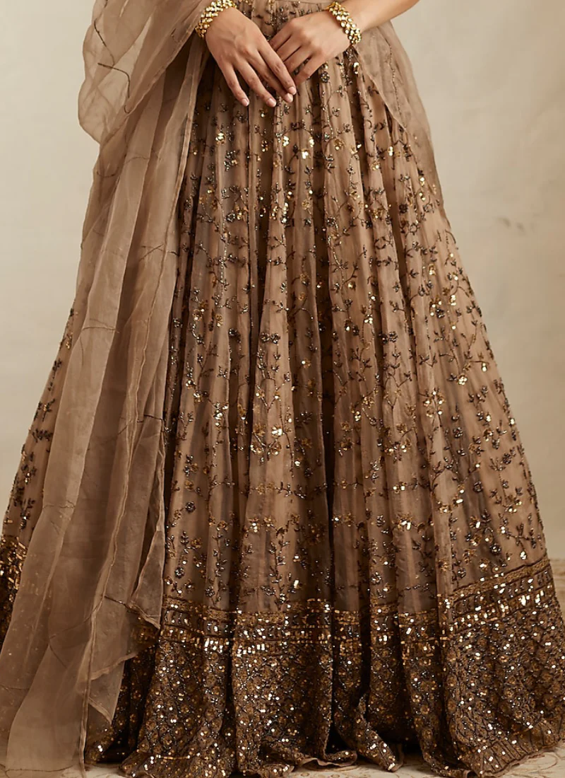Pretty Soft Net Sequence Zari Embroidery Work Brown Lehenga - Image 6